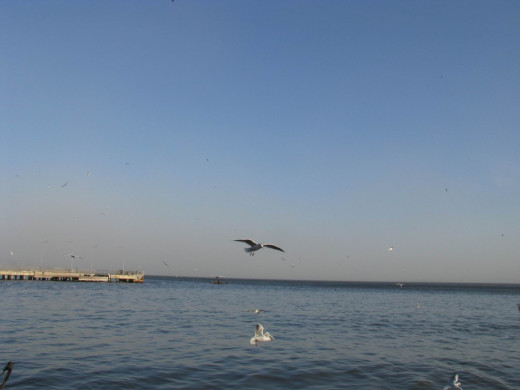 353137 (a): :1600x1200